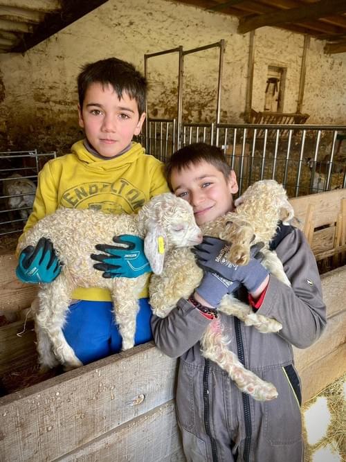 Visite et soins des animaux